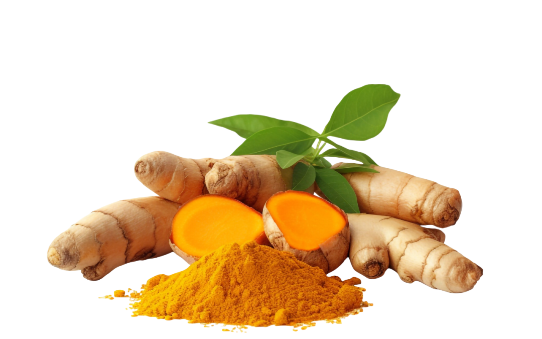 ขมิ้นชัน (Turmeric)