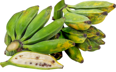 กล้วย (Banana)