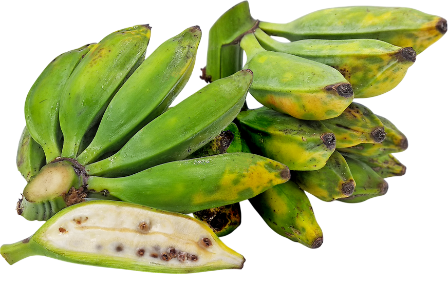 กล้วย (Banana)