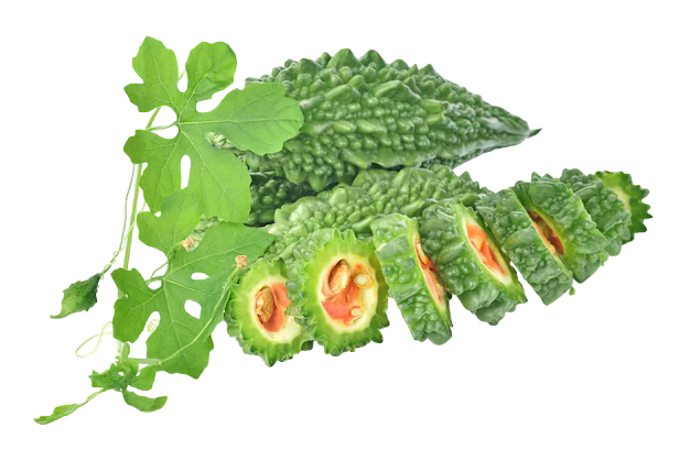 มะระขี้นก (Bittergourd)