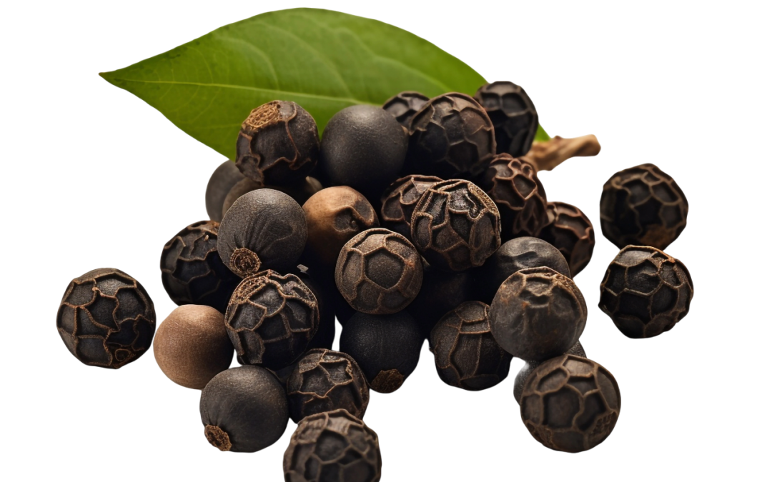 พริกไทยดำ (Black Pepper)
