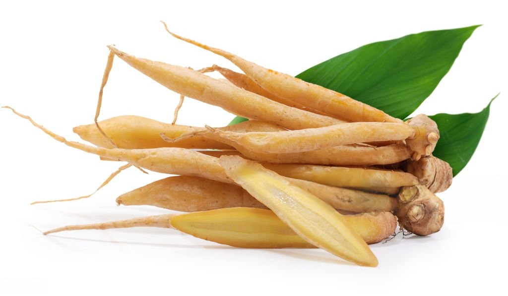 กระชาย (Fingerroot)