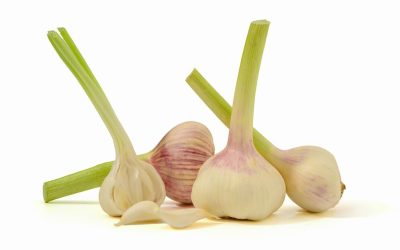 กระเทียม (Garlic)