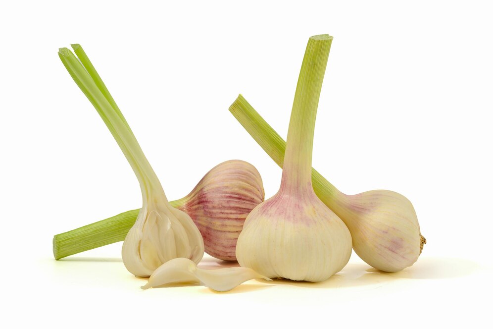 กระเทียม (Garlic)