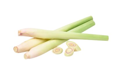 ตะไคร้ (Lemongrass)