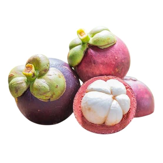 มังคุด (Mangosteen)