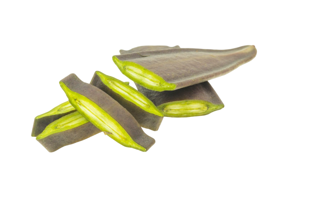 เพกา (Oroxylum)