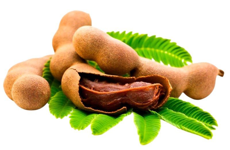 มะขาม (Tamarind)