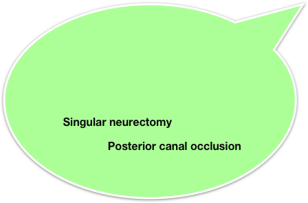 ￼

                Singular neurectomy
                         Posterior canal occlusion