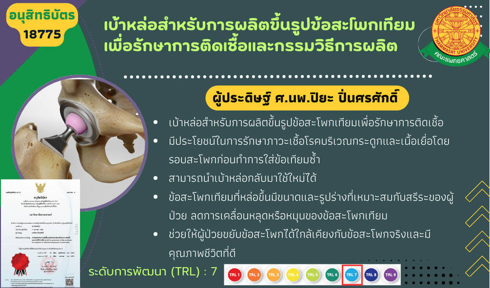 เบ้าหล่อสำหรับการผลิตขึ้นรูปข้อสะโพกเทียมเพื่อรักษาการติดเชื้อและกรรมวิธีการผลิต